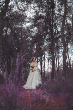 next day photoshooting