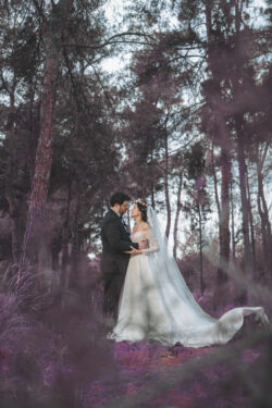 forest photoshooting