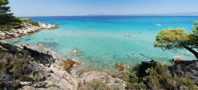 Turquoise water and pine trees on a Halkidiki beach